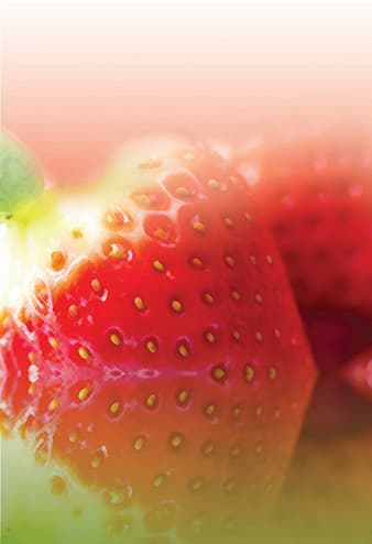 Strawberry Delicious