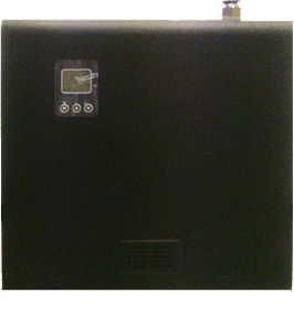 Професионален