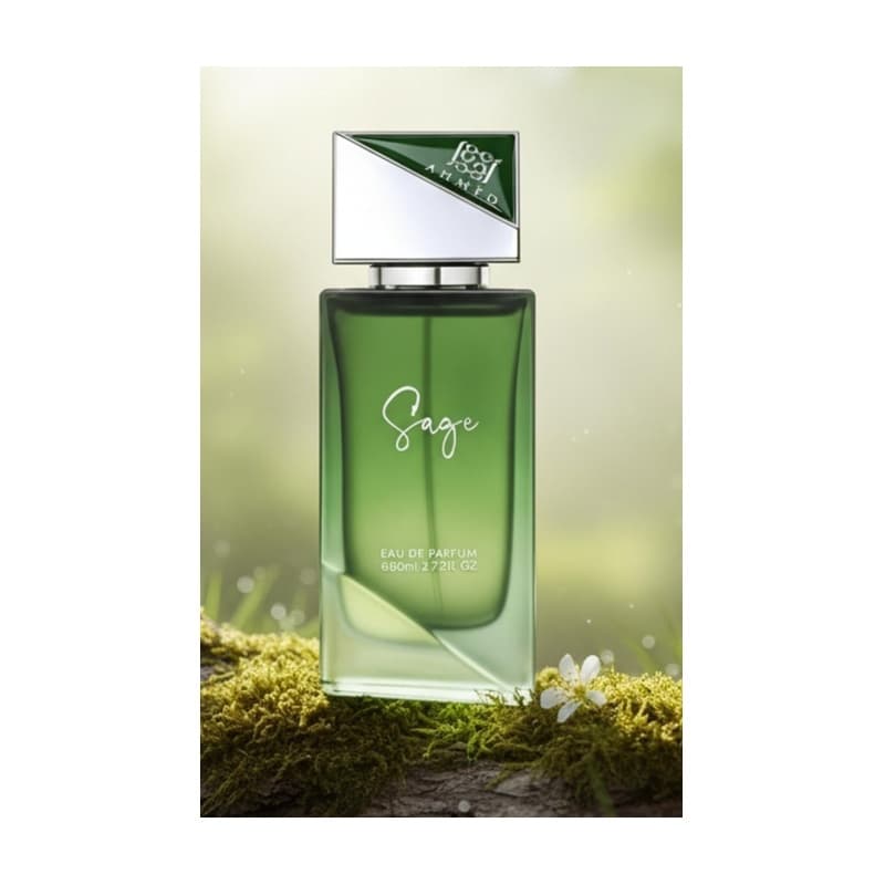 Ahmed al maghribi sage