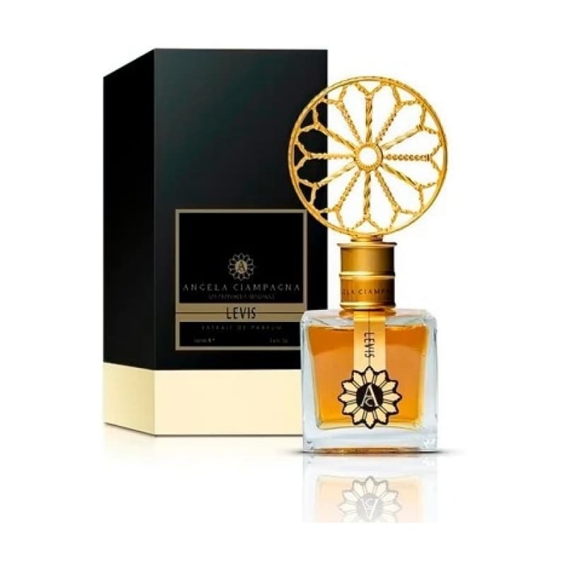 Angela ciampagna levis