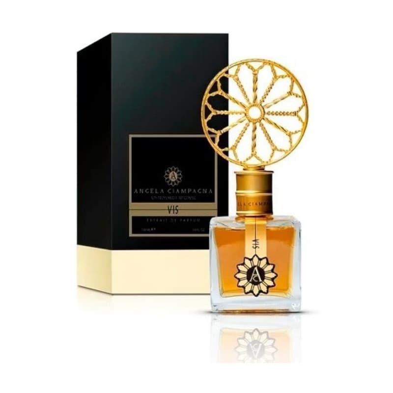 Angela ciampagna vis