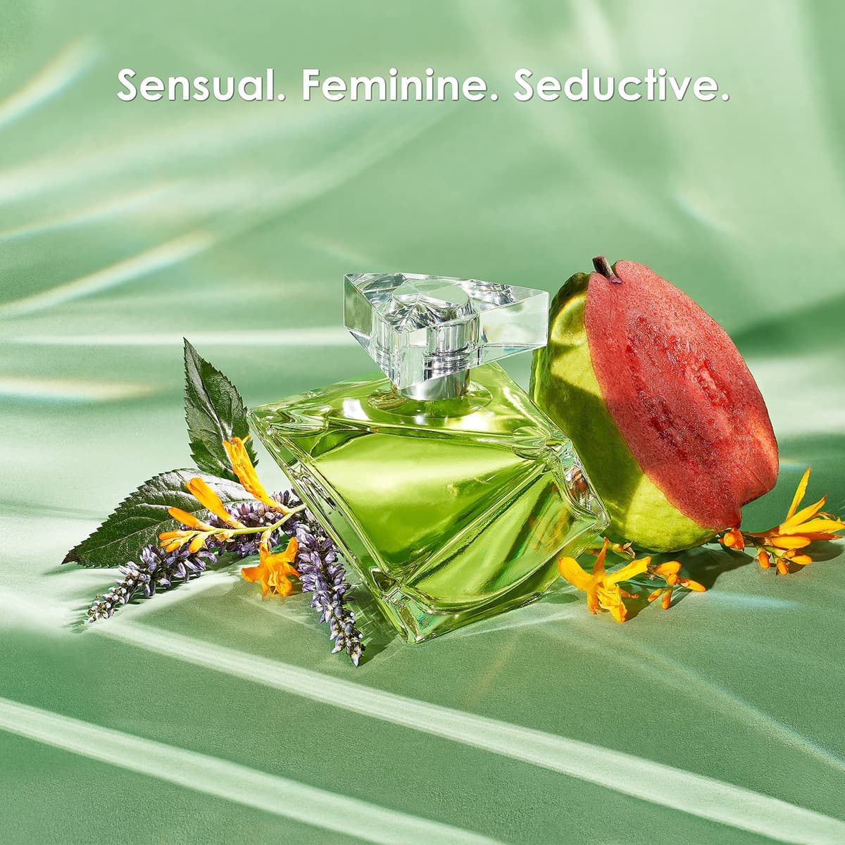 Britney spears believe