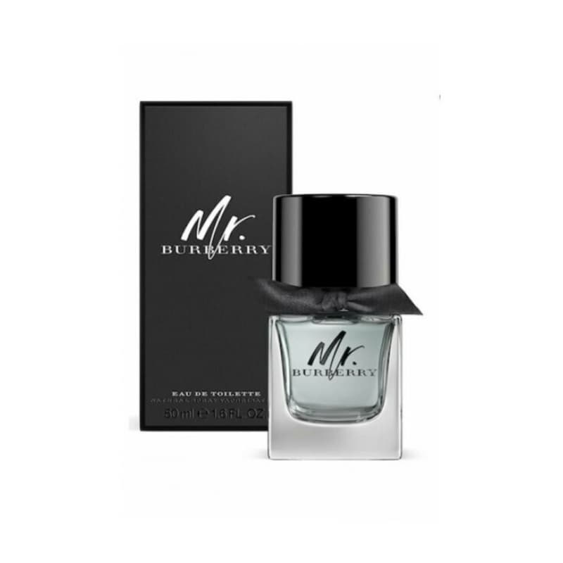 Burberry mr. burberry