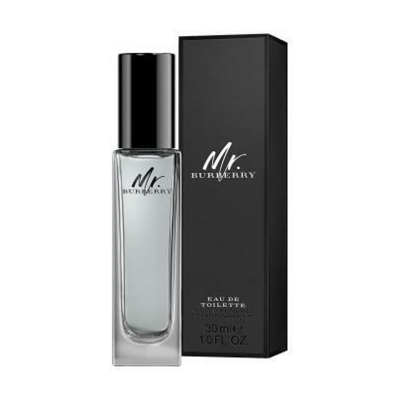 Burberry mr. burberry