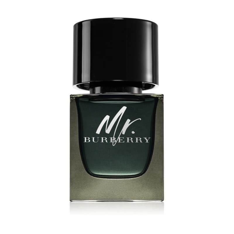 Burberry mr. burberry