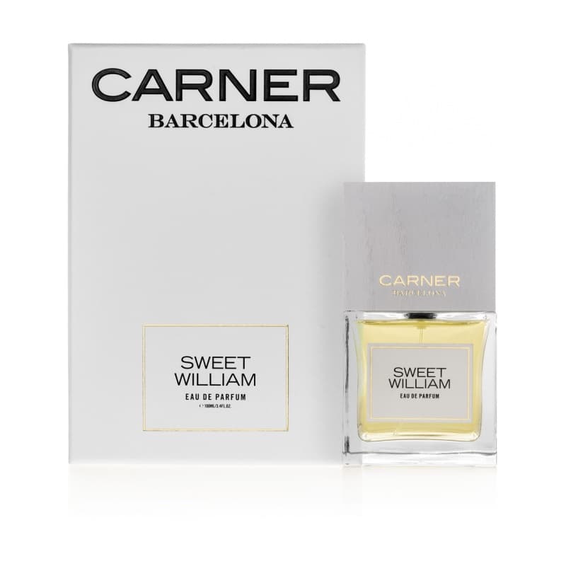 Carner barcelona sweet william