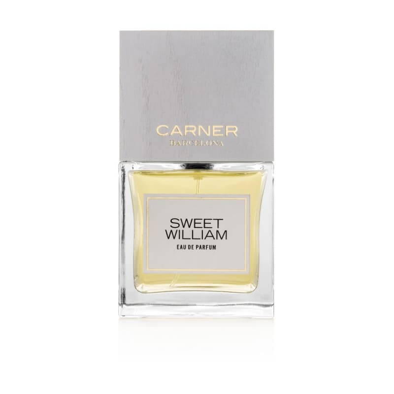 Carner barcelona sweet william