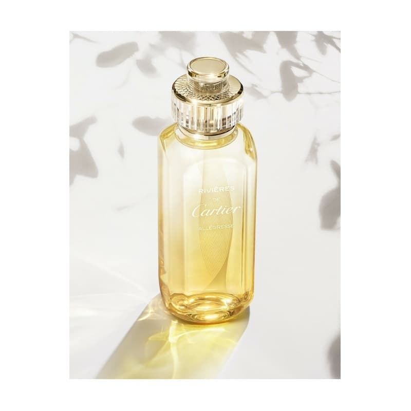 Cartier rivieres alegresse