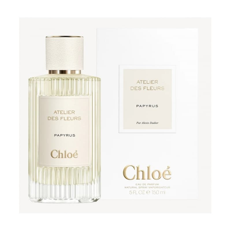 Chloe atelier des fleurs papyrus
