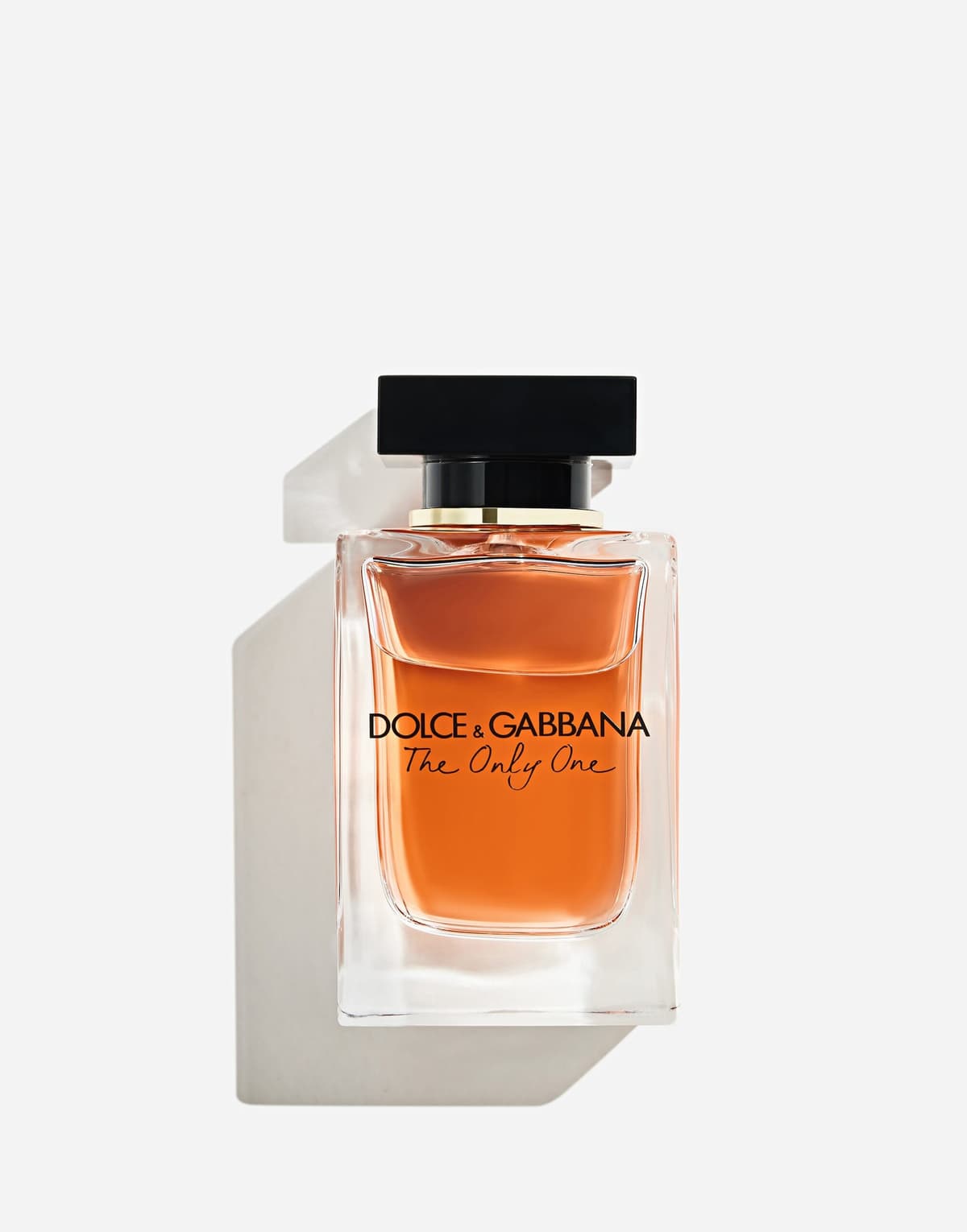 Dolce & gabbana the only one
