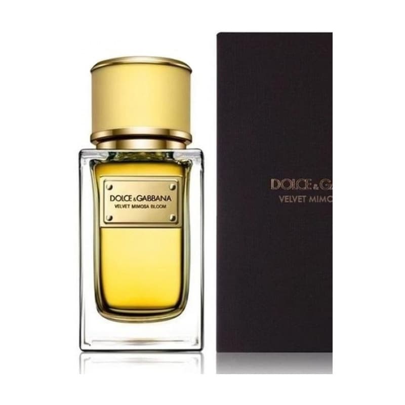 Dolce & gabbana velvet collection mimosa bloom