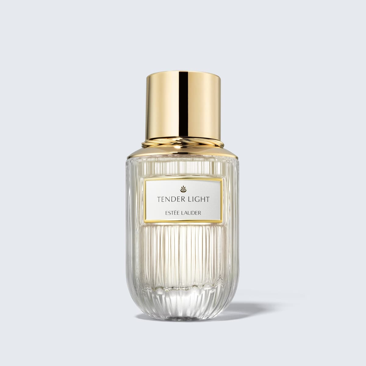 Estée lauder tender light refillable