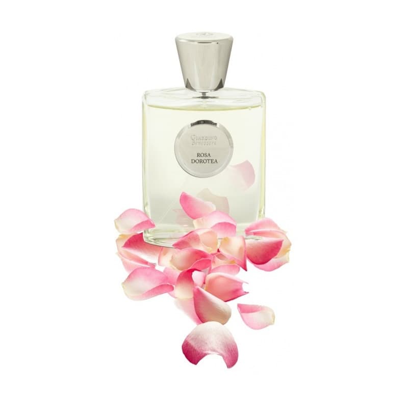 Giardino benessere rosa dorotea