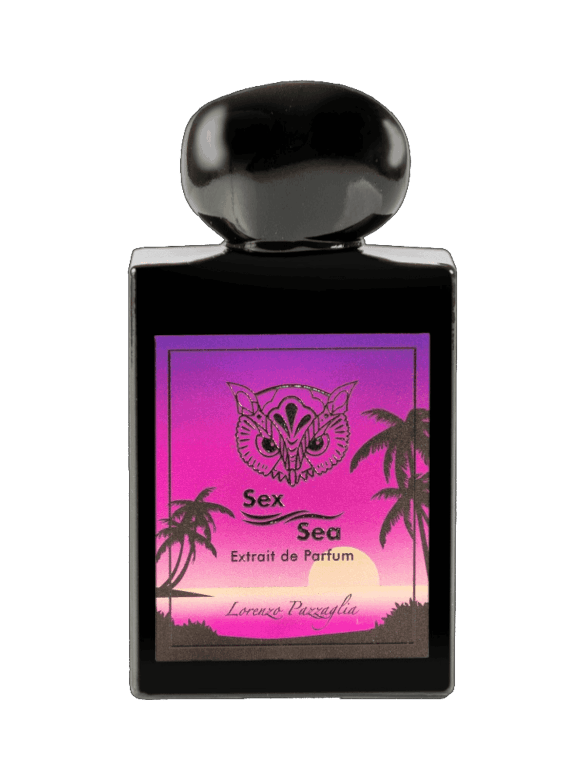 Lorenzo pazzaglia sex sea