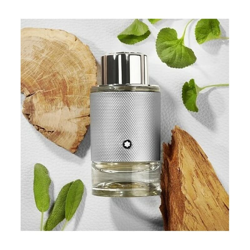 Montblanc explorer platinum