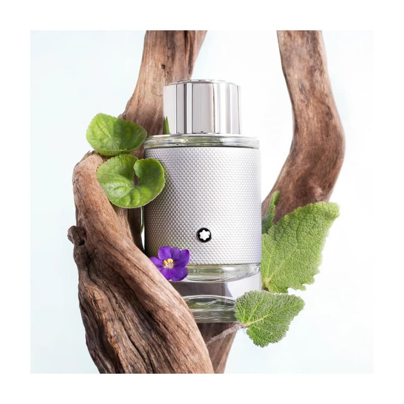 Montblanc explorer platinum