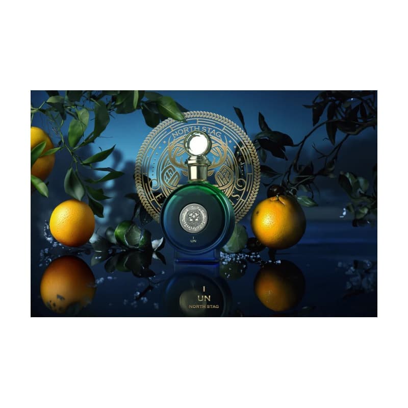 Paris corner north stag expressions un i