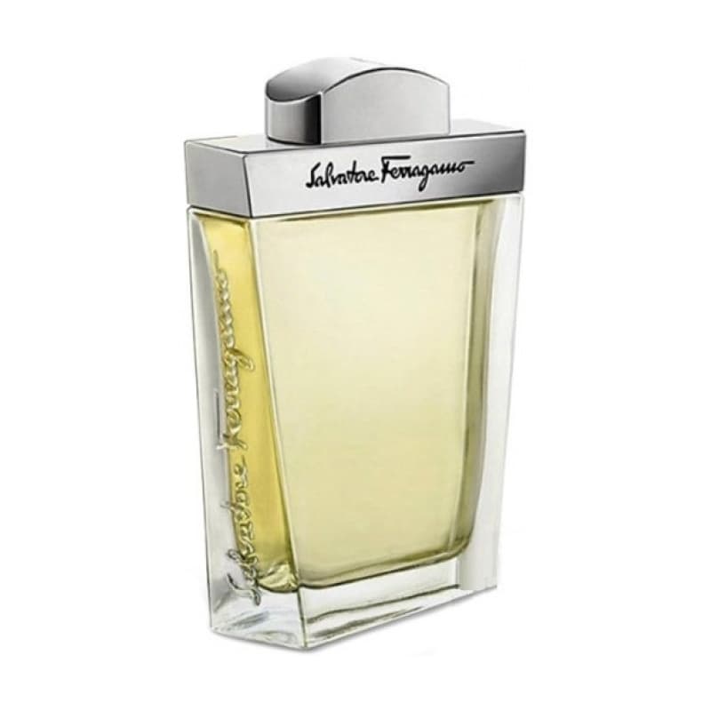 Salvatore ferragamo pour homme