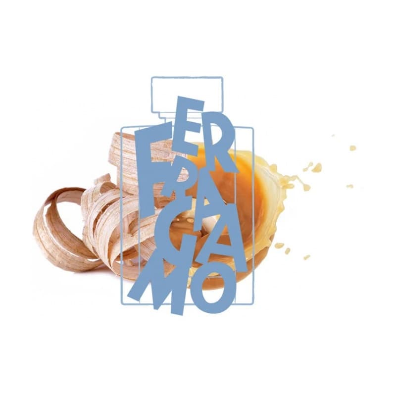 Salvatore ferragamo uomo casual life