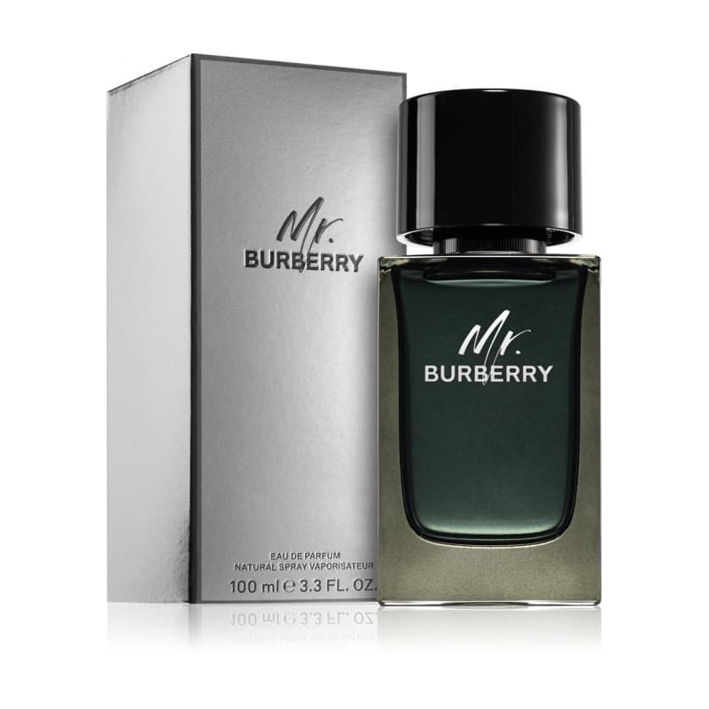 Burberry mr. burberry
